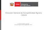 Dirección General de Competitividad Agraria - DGCA · 2009. 11. 21. · Competitividad Agraria. MINAG. Usuarios Ejecutores Promotor – Técnico - Normativo. PSI Gobiernos Locales.