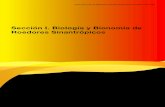 Sección I. Biología y Bionomía de Roedores Sinantrópicos Sección …panaftosa.org/roedores/images/pdfs/seccion1.pdf · 2021. 2. 26. · peso, amplía su dominancia a toda la