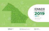 CHACOestadisticas.chaco.gob.ar/wp-content/uploads/2021/01/Chaco-en-cifr… · Precios medios anuales de importantes bienes y servicios en la ciudad de Resistencia. Período 2016 –