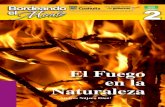 El Fuego en la Naturalezasma.gob.mx/descargas/manuales/2_El fuego.pdf · 2013. 12. 6. · El fuego abre el dosel permitiendo que el piso de la selva se seque y que aparezcan pastos
