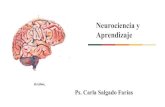 Neurociencia y Aprendizaje...3. Morín, Edgar. (1999). Los siete saberes necesarios para la educación del futuro. Organización de las naciones unidas para la educación, la ciencia