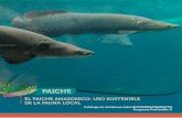 PAICHE - BIVICA · 2020. 6. 25. · comercio justo de productos de la fauna nativa, contribuyendo a la preservación de la biodiversidad. Potencia los conocimientos sobre los recursos