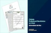 Cédula Profesional Electrónica - UMARhuatulco.umar.mx/servicios_escolares/en_linea/Cedula... · 2019. 11. 13. · 3. Nombre y clave de la institución proporcionada por la DGP,
