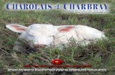CHAROLAIS CHARBRAY · 2020. 2. 26. · Órgano informativo de la asociaciÓn charolais charbray herd book de mÉxico Ave. Benito Juárez 940 Ote. Cd. Guadalupe, N.L., México, CP