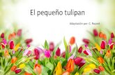 El pequeño tulipan - WordPress.com · 2019. 10. 27. · Pasaron los días y el tulipan escuchó de nuevo: tap-tap _, en la puerta, ^ch-ch en la ventana y ^bis-bis en la chimenea.-¿Quién