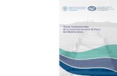 Textos fundamentales de la Comisión General de Pesca del ... · Los textos fundamentales de la Comisión General de Pesca del Mediterráneo (CGPM) son los instrumentos institucionales