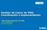 Gestión de Casos de VSG: Coordinación e implementación · 2019. 7. 29. · Taller Regional de GC / GI VSG - ULR San José, Costa Rica - Región de las Américas 1) Definir derivaciones