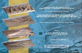 Evaluación de peligros geológicos en el centro Poblado Mirave y … · 2018. 11. 24. · “EVALUACIÓN DE PELIGROS GEOLÓGICOS EN EL CENTRO POBLADO MIRAVE Y SECTOR ALTO MIRAVE”