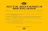 archive.org...ISSN0187-7151 ACTABOTANICA MEXICANA núm.10 Julio1990 Notasobreeltipo,laidentificaciónylalocalidaddeltipodeQuercosoblongifoliavar. pallidinervis(Fagaceae)enChihuahua