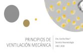 PRINCIPIOS DE VENTILACIÓN MECÁNICAmanuelosses.cl/cabl/PRINCIPIOS DE VENTILACION MECANICA.pdf · 2018. 10. 24. · PRINCIPIOS FISICOS DE LOS VENTILADORES •El VM genera una fuerza