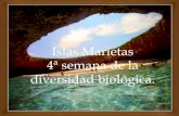 Islas Marietas 4ª semana de la diversidad biológica.€¦ · Islas Marietas 4ª semana de la diversidad biológica. ! " Las islas Marietas o islas Tres Marietas son un grupo de