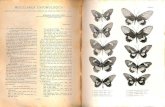 ACADEMIA COLOMBIANA DE CIENCIAS EXACTAS, FÍSICAS Y … · PLANCHA 1 5—Papilio olirencius Bat. ) Bsd. (I 7—Papilio Bsd. (1 ) Cr. (1 16. Papilio anchiseg alyattes Felder. 1861.