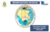 REPORTE NACIONAL DE BOLIVIA Coordination/RHC/SWAtHC... · 2019 elaboraciÓn y presentaciÓn del anteproyecto de ley hidrogrÁfica 2019 aprobaciÓn del plan cartogrÁfico del snhn