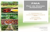 Plan de Manejo Ambientalportal.daabon.com.co/oldaabon/rsc/docs/sostenibilidad/... · 2021. 1. 12. · PLAN DE MANEJO AMBIENTAL – PMA CULTIVO ORGÁNICO DE PALMA DE ACEITE FINCA GAVILAN