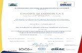 CALIDAD DE ENERGÍA S.ACALIDAD DE ENERGÍA S.A.S 16-LAB-032 ACREDITACIÓN ISO/IEC 17025:2017 Alcance de la acreditación aprobado / Documento Normativo 2017-09-12 2020-03-20 2020-09-11