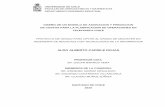 Universidad de Chile - ALDO ALBERTO CAPRILE ROJASrepositorio.uchile.cl/tesis/uchile/2010/cf-caprile_ar/... · 2011. 5. 16. · diseÑo de un modelo de asignacion y prediccion de costos