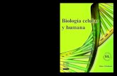 Biología celular y humana Cárdenas - ecoeediciones.com...general entre las células procariotas y eucariotas Aportes en el conocimiento de la célula agua, iones y biomoléculas