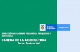 Presentación de PowerPoint...2020/06/30  · Fuente: El Agro Exporta - FEDEACUA, Análisis Secretaría Técnica Nacional Cadena de la Acuicultura - MADR –2019. Cadena de la Acuicultura
