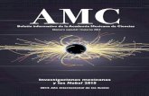 Boletín informativo de la Academia Mexicana de CienciasBoletín informativo de …coniunctus.amc.edu.mx/boletines/amc_boletin50-e.pdf · 2020. 6. 7. · 6 Investigaciones mexicanas