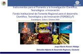 Instrumentos para el Fomento a la Investigación Científica ...2006-2012.conacyt.gob.mx/fondos/institucionales/JornadaInnovacio… · SNI PNP Formación de - Recursos Humanos Fondos