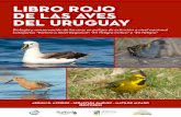 libro rojo de las aves del uruguay Rojo de las Aves de... · 2018. 2. 13. · El desarrollo de la Lista Roja y del Libro Rojo de las Aves del Uruguay forman parte de un mismo proyecto