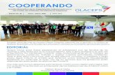 Boletin Cooperando 35 final - ORFIS Veracruz · 2020. 8. 5. · COOPERANDO Boletín Informativo de la Organización Latinoamericana y del Caribe de Entidades Fiscalizadoras Superiores