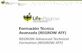 Formación Técnica Avanzada (REGROW ATF)liferegrow.edu.umh.es/wp-content/uploads/sites/1461/2020/... · 2020. 5. 5. · D. David Jorquera García. Alpechín Balsas Almacenaje 1.