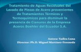 Autora: Yadira Luna Director: Ph.D. Miguel Martínez-Fresneda · 2017. 6. 29. · Tratamientos térmicos y termoquímicos Lavado de piezas Control de calidad Empaque y Etiquetado