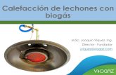 Calefacción de lechones con biogás³n_de...Criadoras a biogás Criadora LPG modificada a biogás •La criadora a biogás logró mantener una temperatura menos fluctuante. •El
