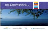 Cuenta Experimental de Ecosistemas de Guatemaladocuments1.worldbank.org/curated/en/451591561110110128... · 2019. 6. 21. · i Resumen Introducción El presente documento pretende