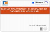 BUENAS PRÁCTICAS EN EL DESPACHO DE GAS NATURAL …gasnatural.osinerg.gob.pe/contenidos/uploads/GFGN/... · 2011. 10. 14. · ¿Qué es un dispensador ? Es un equipo que está diseñado