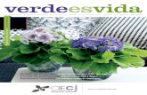 verdeesvida - Helechos · 2015. 3. 26. · Mucho más sobre jardinería en verdeesvida La revista de la Asociación Española de Centros de Jardinería / Primavera 2015 / Número