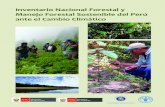 Inventario Nacional Forestal y Manejo Forestal Sostenible del ......Una de las preocupaciones para el Perú es la acelerada destrucción de los bosques, estimada en unas 150 000 hectáreas