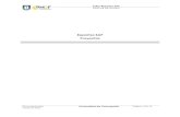 Reportes SAP Proyectosayudasap.udec.cl/sites/default/files/Reportes Presupuesto... · 2020. 8. 19. · Taller Reportes SAP Manual de Usuario Documentación Proyecto MGF Universidad
