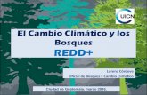 El Cambio Climático y los Bosques REDD+ · 2016. 3. 28. · El Cambio Climático y los Bosques REDD+ Lorena Córdova Oficial de Bosques y Cambio Climático Ciudad de Guatemala, marzo