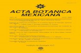 archive.org · 2016. 9. 26. · ISSN0187-7151 ACTABOTANICA MEXICANA núm.31 Junio1995 FlorayvegetaciónacuáticasdelLagodeCuitzeo,Michoacán,México 1 J.RojasyA.Novelo ...
