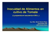 Inocuidad de Alimentos en cultivo de Tomate - FONTAGRO · 2017. 7. 24. · cultivo de tomate a las oficinas de extensión de Matagalpa, Jinotega y San Rafael. Agosto 2006. 2. Conformación