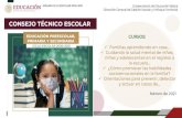 CONSEJO TÉCNICO ESCOLARdgfc.basica.sep.gob.mx/multimedia/RSC/BASICA/... · CONSEJO TÉCNICO ESCOLAR CICLO ESCOLAR 2020-2021 Subsecretaría de Educación Básica ... por la pandemia;