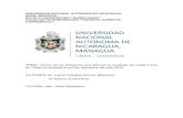 UNIVERSIDAD NACIONAL AUTÓNOMA DE NICARAGUA UNAN- … · 2019. 5. 16. · UNIVERSIDAD NACIONAL AUTÓNOMA DE NICARAGUA UNAN- MANAGUA RECINTO UNIVERSITARIO “RUBÉN DARÍO” FACULTAD