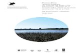 Proyecto Piloto...Proyecto Piloto «Gestión Integrada del Humedal del Santa Lucía: prevención y reducción de la contaminación difusa en las áreas costeras del Río de la Plata»