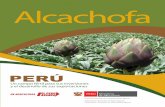Alcachofa - Gob · 2011. 9. 22. · internas y las porciones blandas del cogollo se les llama “corazón”. Su carne es crujiente, suculenta, con una combinación de sabores dotada