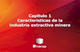 Capitulo 1 Características de la industria extractiva minera · 2020. 9. 11. · Pero las características propias son las siguientes: 1. ALTO RIESGO DE LA INDUSTRIA MINERA En general,