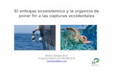 El enfoque ecosistémico y la urgencia de poner fin a las capturas accidentales · 2019. 10. 8. · REGLAMENTO MEDIDAS TÉCNICAS Queda prohibida la captura de los mamíferos marinos,