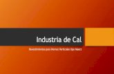 Industria de Cal - refratek.comrefratek.com/archivos/industrias/Industria de Cal.pdf · Horno 1000 C Detalle revestimiento horno operando a 1000 C . Zona de almientacion . Zona de