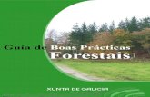 Guía de Boas Prácticas Forestais...A s Boas Prácticas Forestais (BPF) son un conxunto de técnicas e metodoloxías de traballo que serven de referencia aos profesionais do sector