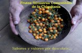 Frutos Silvestres Comestibles de la Chiquitania...Resultados 120 especies de frutos silvestres con uso comestible reportado 0 10 20 30 40 50 60 70 (1) Guadelupe (1) San Pablo del Sur