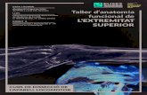 DATA I HORARI Taller d’anatomia · 2019. 3. 19. · Taller d’anatomia funcional de L’EXTREMITAT SUPERIOR DATA I HORARI dissabte 07 d’abril de 2018, de 09:00 a 13:30 (4h. lectives)