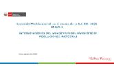 Comisión Multisectorial en el marco de la R.S 005-2020- MINCUL INTERVENCIONES DEL ... · 2020. 11. 26. · Secoya del Perú - OISPE. Para el traslado de la donación, desde Iquitos