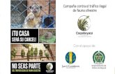 Campaña contra el tráfico ilegal de fauna silvestre...MANEJO DE FAUNA SILVESTRE: La Ley 1333/2009 y la Resolución 2064 de 2010, del Ministerio de Ambiente y Desarrollo Sostenible,