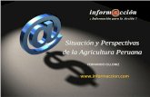 Situación y Perspectivas de la Agricultura Peruana · IMPORTACIONES DE SISTEMAS DE RIEGO PARA LA AGRICULTURA (US$ Millones CIF) 1995 – 2008. ... Situación y Perspectivas de la
